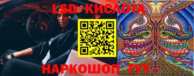 ECSTASY Новозыбков