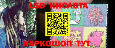 ECSTASY Новозыбков
