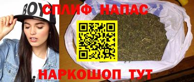 ECSTASY Новозыбков